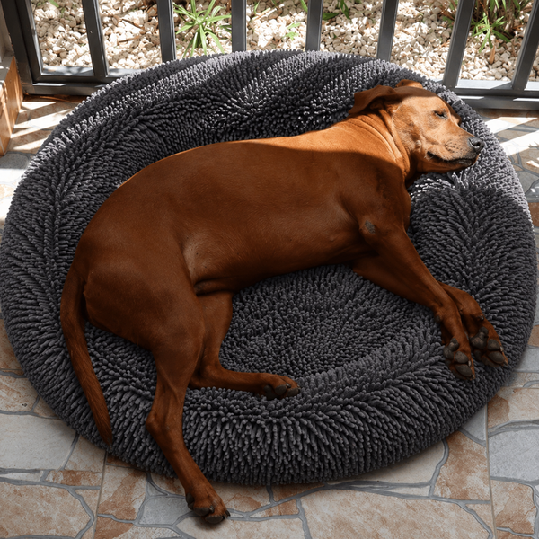 ULTIMATE EVERYDAY COMFORT