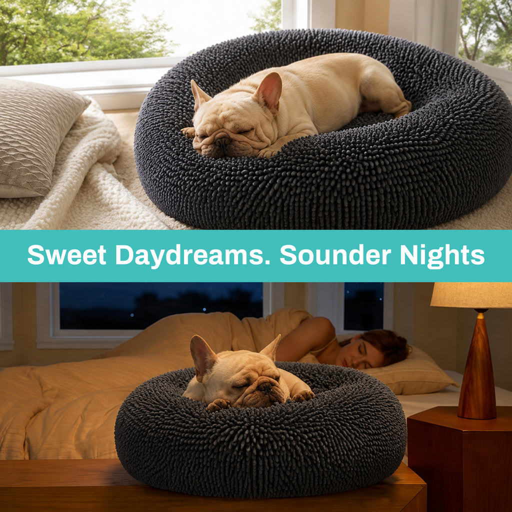 Pet Bed for Dogs & Cats